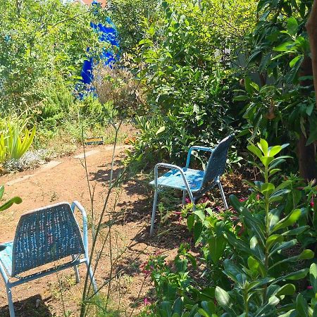 Studio Apartment Garden Dubrovnik Ngoại thất bức ảnh